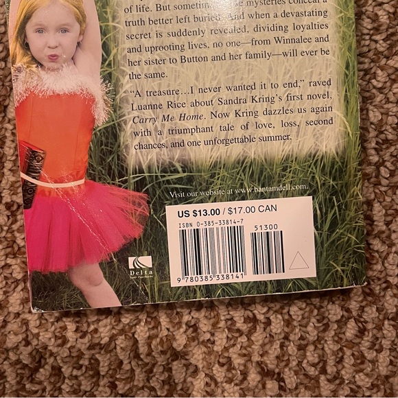 “The Book of Bright Ideas” by Sandra Kring (2006) - Picture 15 of 15